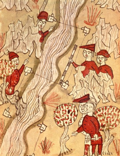 Ms 327 fol.293v Joen kartoitus, Arnaud de Villeneuven (1240-1312) "Traite d